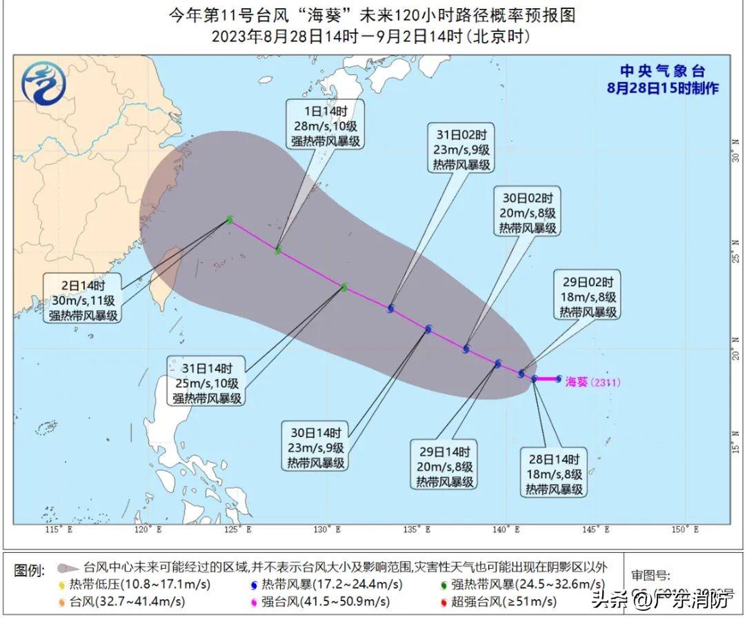 海葵台风最新消息，一场风暴的演变与影响