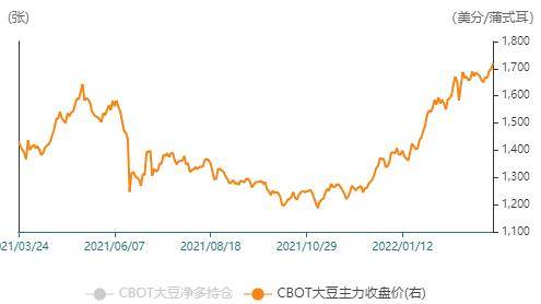 大豆价格最新行情走势，市场波动与未来展望