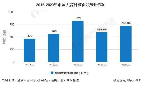 河南大蒜最新价格，市场波动与影响因素分析