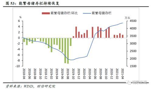 舒城最新房价，市场趋势、影响因素及未来展望