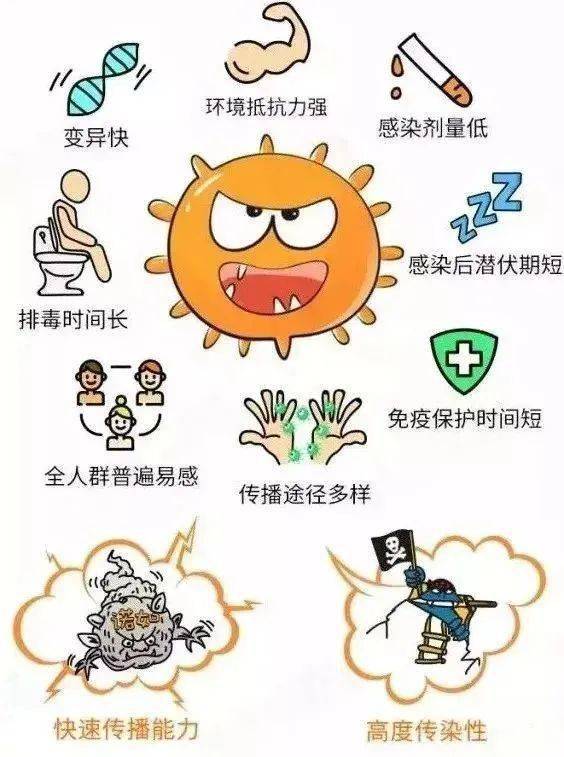 山东最新传染病防控动态，科学应对，共筑健康防线