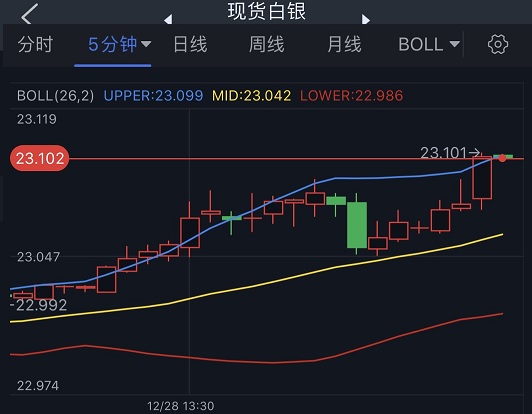 最新银价走势图，洞悉白银市场的波动与机遇