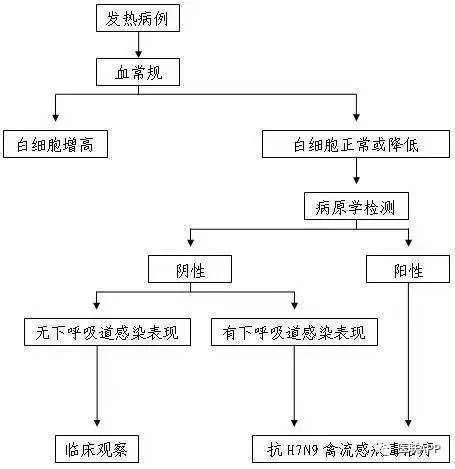 流感H7N9最新消息，全球监测与防控策略的最新进展